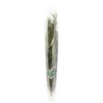 Rosemary 50g