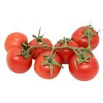 Red Tomato on Branch