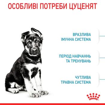 Royal Canin Dry Food for Puppies of Large Breeds 3.2+800g - buy, prices for MasterZoo - photo 2