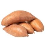 Sweet Potato