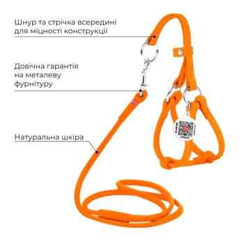 Шлея Waudog Glamour кожаная с поводком 30-50см/6мм/105см оранжевый - купить, цены на MasterZoo - фото 3