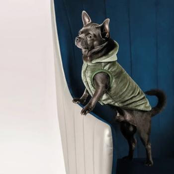Жилет для собак Pet Fashion «LOUIS» M - купити, ціни на MasterZoo - фото 3