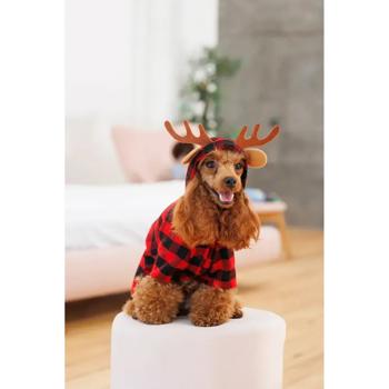 Costume Pet fashion Ukraine - buy, prices for MasterZoo - photo 7