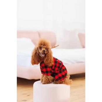 Costume Pet fashion - buy, prices for MasterZoo - photo 2