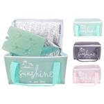 Thermal Bag and Cold Accumulator 2.6l 22*15*11cm