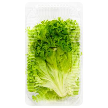 Bella Viva Vitamin Coctail Lettuce Mix 125g - buy, prices for - photo 12