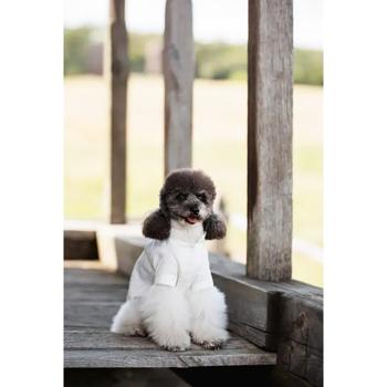Embroidered shirt Pet fashion Ukraine - buy, prices for MasterZoo - photo 8