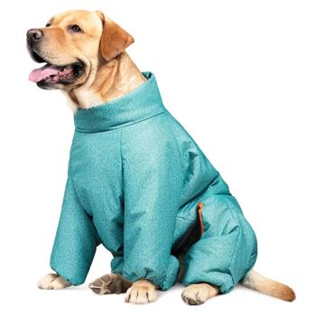 Pet Fashion Cold Raincoat for Dogs s.7XL Turquoise - buy, prices for MasterZoo - photo 4