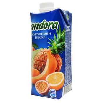 Sandora Multivitamin Nectar 0.5l - buy, prices for Torba - photo 1