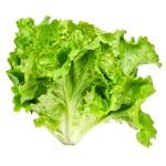 Greens lettuce fresh