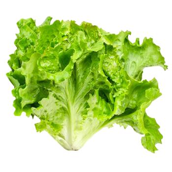 Greens lettuce fresh - buy, prices for Ideal - photo 1