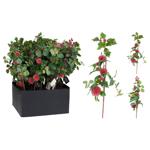 Ветка декоративная Яблоки/Гранаты 20х7х60см в ассортименте