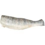 Fish Pike-perch Fresh