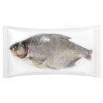 Sun-Dried Bream