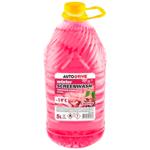 Омивач скла Auto Drive Вишня зимовий -19С 5л