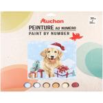 Auchan Paint by Number 30x30cm