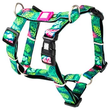 Leash Max and molly Germany - buy, prices for MasterZoo - photo 1