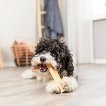 Ласощі для собак Trixie Chewing Паличка XS 13,5 см / 30 г - сир - купить, цены на MasterZoo - фото 5