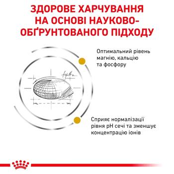 Royal Canin Urinary S/O Food Set for Cats with Urinary Tract Diseases Dry 1.5kg + Wet 4pcs*85g - buy, prices for MasterZoo - photo 6