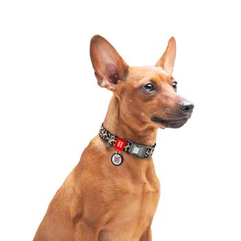 Collar Collar - buy, prices for MasterZoo - photo 4