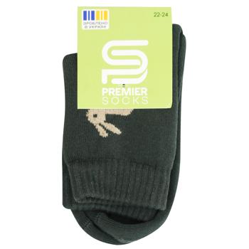 Шкарпетки дитячі Premier Socks махрові з зайчиком р.22-24 хакі