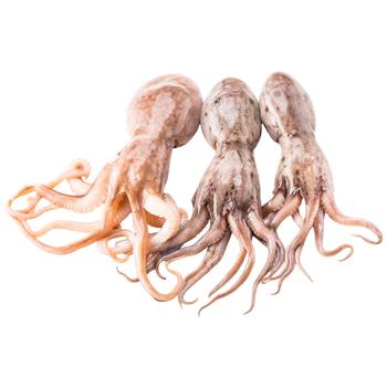 Осьминог рогатый - купить, цены на WINETIME - фото 1