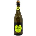 Borgo Sole Lambrusco White Semi Sweet Sparkling Wine 8% 0.75l
