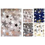 Buromax Stars Paper Gift Bag L 31х42х12cm