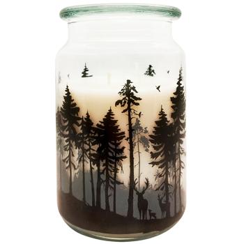 Paco Snowy Forest XXL Candle in Glass 80x150mm - buy, prices for Vostorg - photo 1
