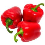 Sweet Red Pepper Holland