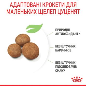 Royal Canin Maxi Puppy сухий корм для цуценят 12 кг - купити, ціни на MasterZoo - фото 6