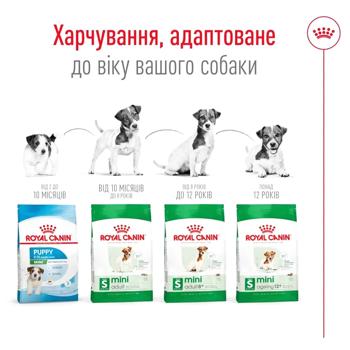 Корм сухий Royal Canin Mini Ageing 12+ для літніх собак 800г - купити, ціни на MasterZoo - фото 6