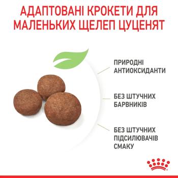 Корм сухий Royal Canin для цуценят середніх порід 3,2+800г - купити, ціни на MasterZoo - фото 5
