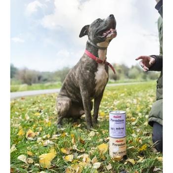 Comfy Appetit Premium Wet Food with Lamb for Dogs of All Breeds 400g - buy, prices for MasterZoo - photo 6