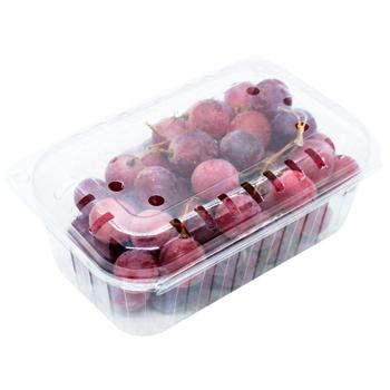 Pink Grapes - buy, prices for - photo 2