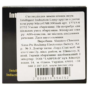 Ночник Intelligent Induction Lamp светодиодный аккумуляторный с датчиком движения MircoUSB 300mah
