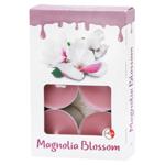 Candy Light TL Candles with Magnolia Blossom Aroma 6A/1 6pcs