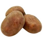 Картопля перший сорт