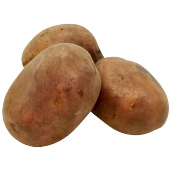 Картопля перший сорт - купити, ціни на Чудо Маркет - фото 1