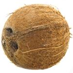 Coconut, pc