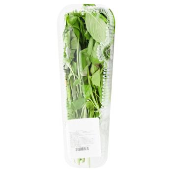 Green Basil 50g - buy, prices for MasterZoo - photo 1