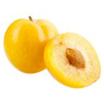 Yellow Plum