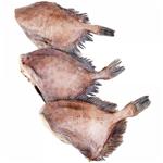 Дорі свіжоморожена 200-1000