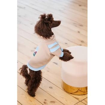 Худи для собак Pet Fashion Home р.XS2 - купить, цены на - фото 6