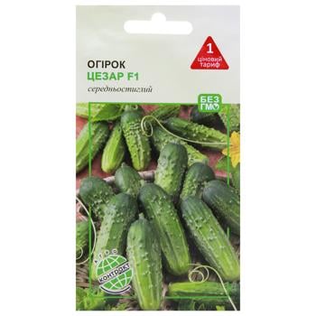 Agrokontrakt Cucumber Caesar F1 Seeds 20g - buy, prices for EKO Market - photo 1