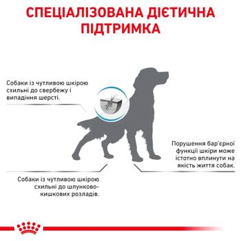 Корм сухий Royal Canin Skin Care для здоров'я шкіри та шерсті собак 2кг - купити, ціни на MasterZoo - фото 3