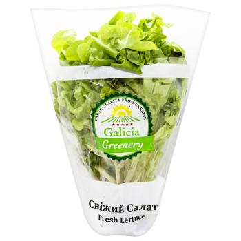 Galicia Greenery Salad Duo in Pot 250g - buy, prices for Auchan - photo 1