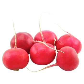 Young Radish - buy, prices for COSMOS - photo 1