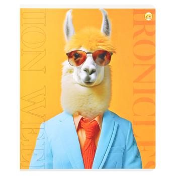 Tetrada Notebook in Line 60 Sheets assortment - buy, prices for ULTRAMARKET - photo 8