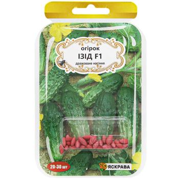 Yaskrava Isis Cucumber Seeds 20-30pcs Dragee